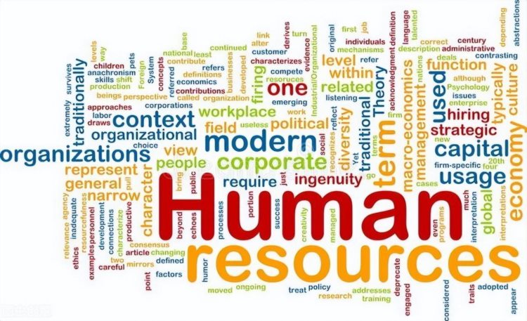 人力资源11：如何管好你的人力资源